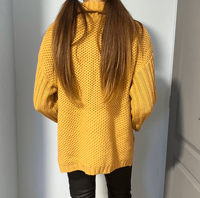 Pull col roulé - CAMEL 